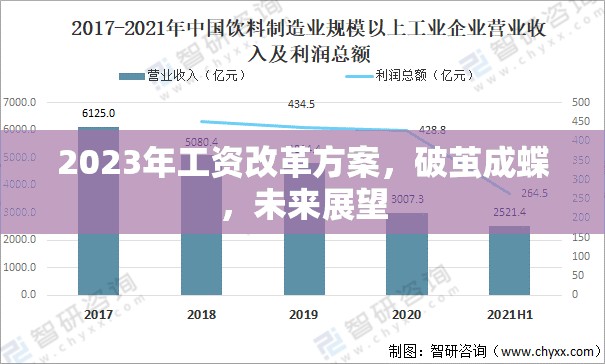 2023年工資改革方案，破繭成蝶，未來展望