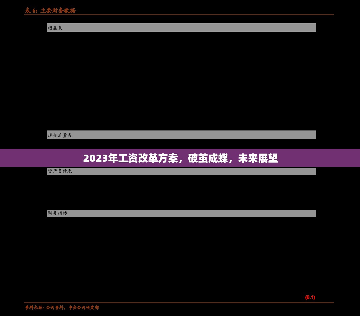 2023年工資改革方案，破繭成蝶，未來展望