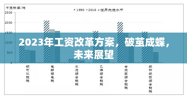 2023年工資改革方案，破繭成蝶，未來展望