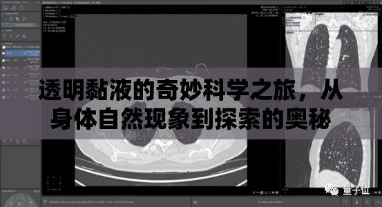 透明黏液的奇妙科學(xué)之旅，從身體自然現(xiàn)象到探索的奧秘
