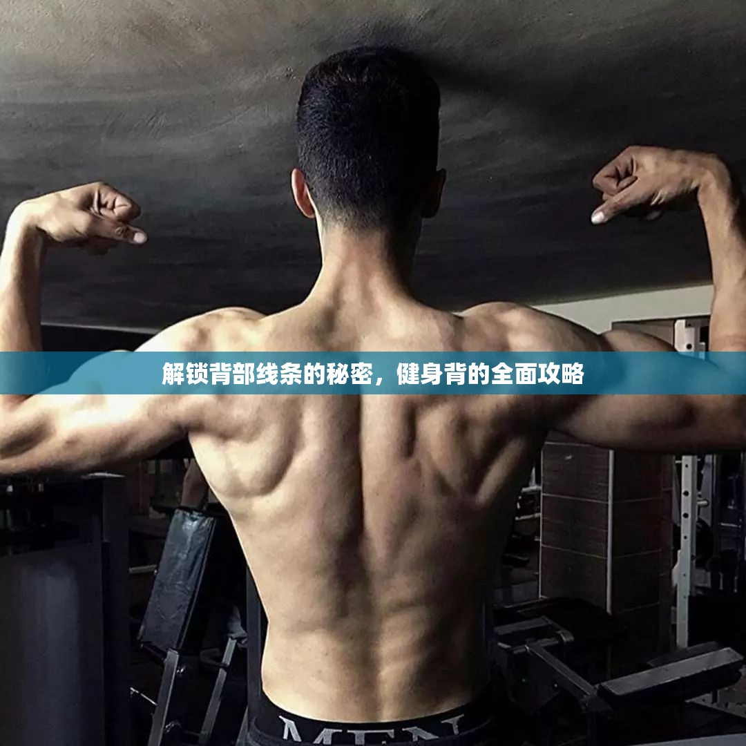 解鎖背部線條的秘密，健身背的全面攻略