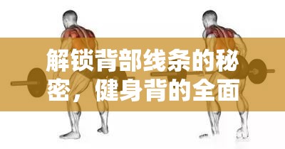 解鎖背部線條的秘密，健身背的全面攻略