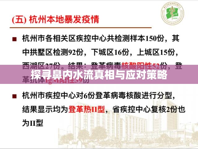 探尋鼻內(nèi)水流真相與應(yīng)對策略