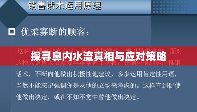 探尋鼻內(nèi)水流真相與應(yīng)對策略