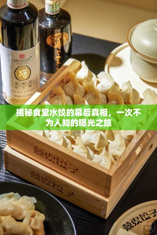 揭秘食堂水餃的幕后真相，一次不為人知的曝光之旅