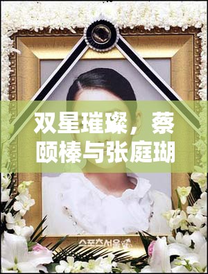 雙星璀璨，蔡頤榛與張庭瑚的才藝與公益并進(jìn)青春力量揭秘