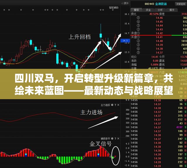 四川雙馬，開啟轉(zhuǎn)型升級新篇章，共繪未來藍圖——最新動態(tài)與戰(zhàn)略展望