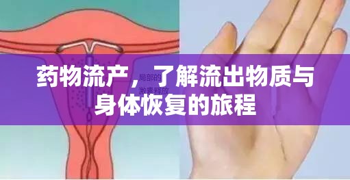 藥物流產(chǎn)，了解流出物質(zhì)與身體恢復(fù)的旅程