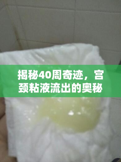 揭秘40周奇跡，宮頸粘液流出的奧秘