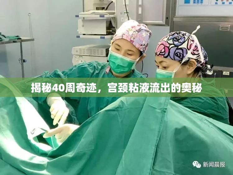 揭秘40周奇跡，宮頸粘液流出的奧秘