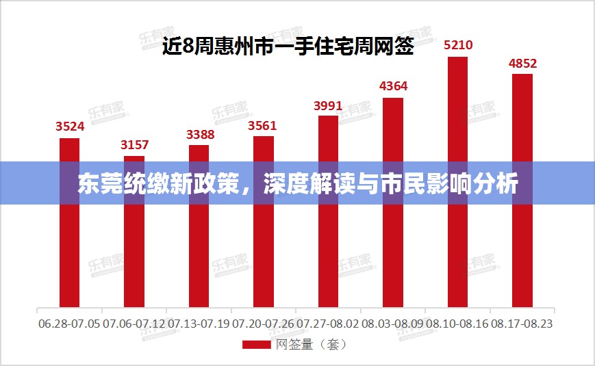 東莞統(tǒng)繳新政策，深度解讀與市民影響分析