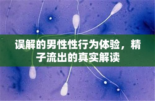 誤解的男性性行為體驗，精子流出的真實解讀