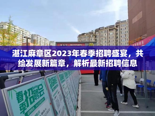 湛江麻章區(qū)2023年春季招聘盛宴，共繪發(fā)展新篇章，解析最新招聘信息