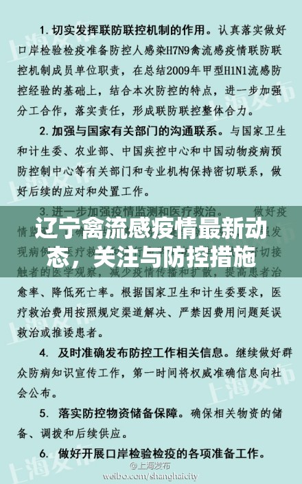 遼寧禽流感疫情最新動(dòng)態(tài)，關(guān)注與防控措施