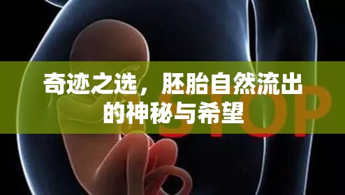 奇跡之選，胚胎自然流出的神秘與希望