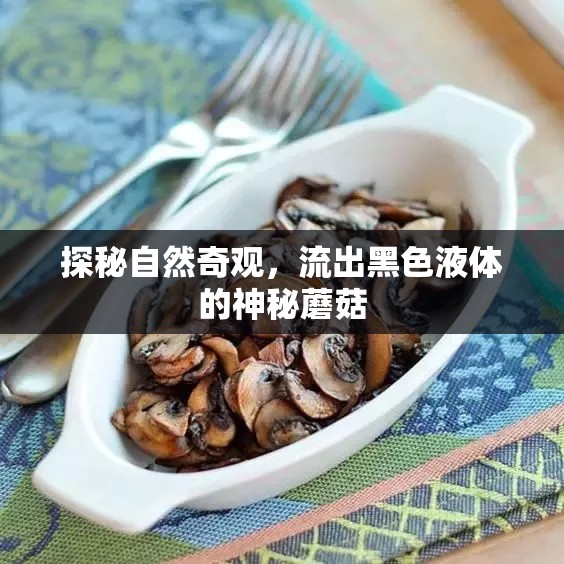 探秘自然奇觀，流出黑色液體的神秘蘑菇
