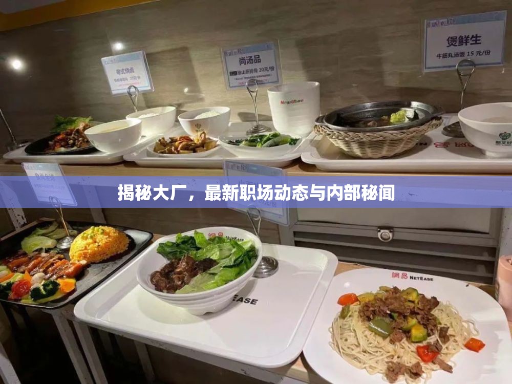 揭秘大廠，最新職場動(dòng)態(tài)與內(nèi)部秘聞