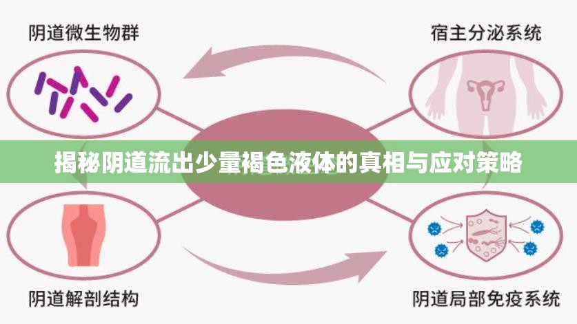 揭秘陰道流出少量褐色液體的真相與應對策略