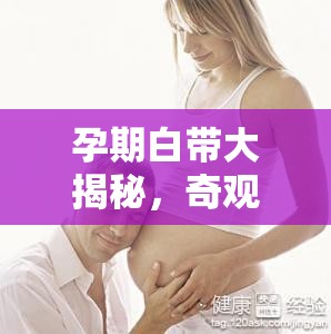 孕期白帶大揭秘，奇觀背后的奧秘與應(yīng)對策略
