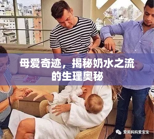 母愛奇跡，揭秘奶水之流的生理奧秘