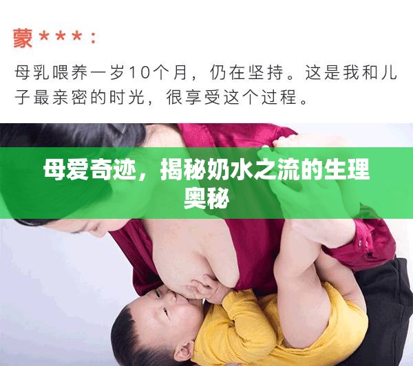 母愛奇跡，揭秘奶水之流的生理奧秘