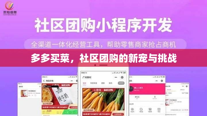 多多買菜，社區(qū)團購的新寵與挑戰(zhàn)