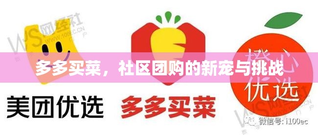 多多買菜，社區(qū)團購的新寵與挑戰(zhàn)