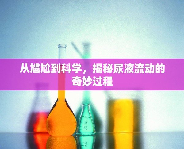 從尷尬到科學(xué)，揭秘尿液流動的奇妙過程