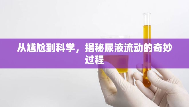 從尷尬到科學(xué)，揭秘尿液流動的奇妙過程