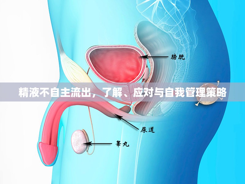 精液不自主流出，了解、應(yīng)對(duì)與自我管理策略