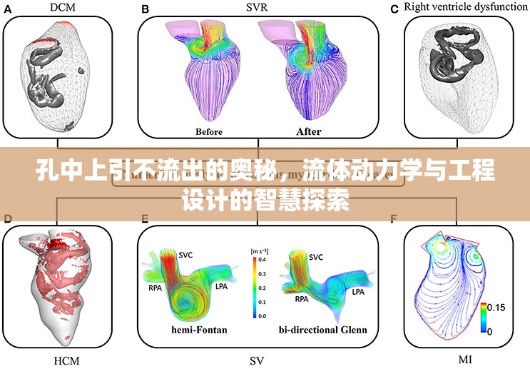 孔中上引不流出的奧秘，流體動(dòng)力學(xué)與工程設(shè)計(jì)的智慧探索