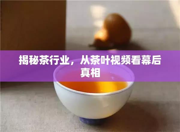 揭秘茶行業(yè)，從茶葉視頻看幕后真相