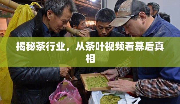 揭秘茶行業(yè)，從茶葉視頻看幕后真相