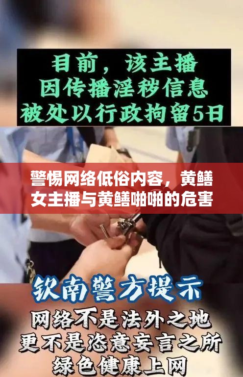 警惕網(wǎng)絡(luò)低俗內(nèi)容，黃鱔女主播與黃鱔啪啪的危害