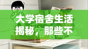 大學宿舍生活揭秘，那些不為人知的秘密