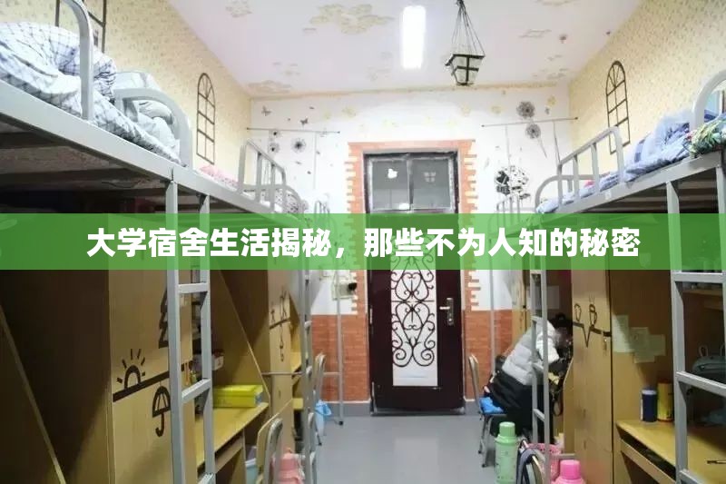 大學宿舍生活揭秘，那些不為人知的秘密