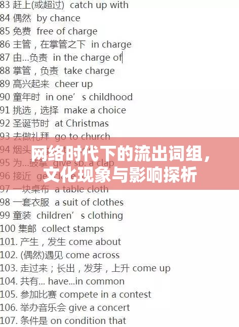 網(wǎng)絡(luò)時(shí)代下的流出詞組，文化現(xiàn)象與影響探析