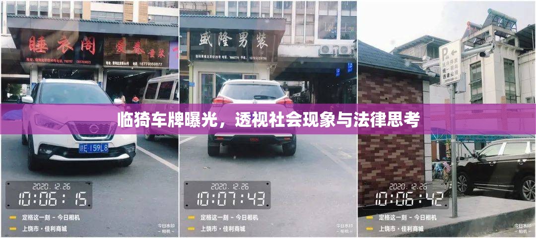 臨猗車牌曝光，透視社會現(xiàn)象與法律思考