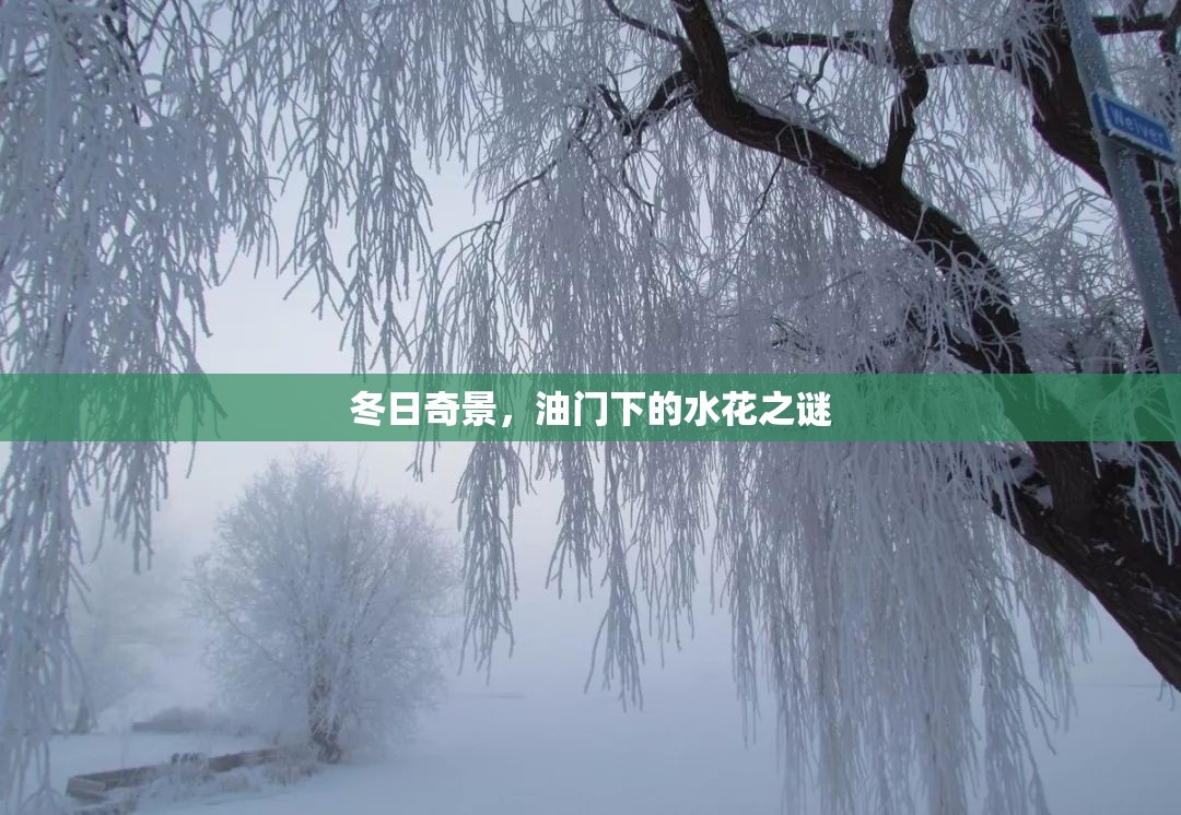 冬日奇景，油門下的水花之謎