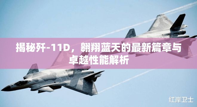 揭秘殲-11D，翱翔藍天的最新篇章與卓越性能解析