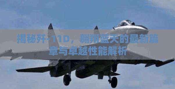 揭秘殲-11D，翱翔藍天的最新篇章與卓越性能解析