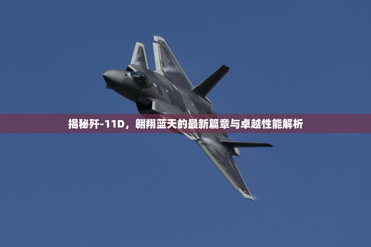 揭秘殲-11D，翱翔藍天的最新篇章與卓越性能解析