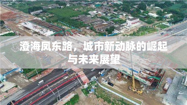 澄海鳳東路，城市新動脈的崛起與未來展望