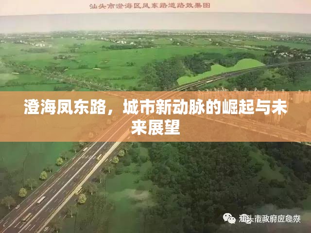澄海鳳東路，城市新動脈的崛起與未來展望