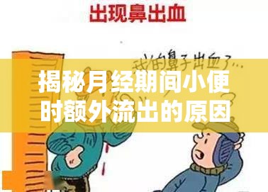 揭秘月經(jīng)期間小便時額外流出的原因及應(yīng)對策略