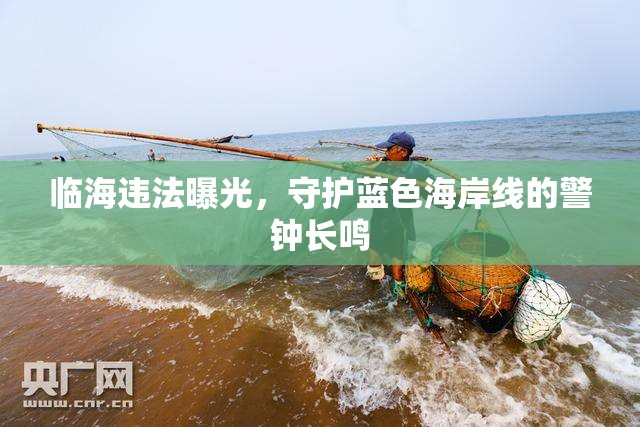 臨海違法曝光，守護藍(lán)色海岸線的警鐘長鳴