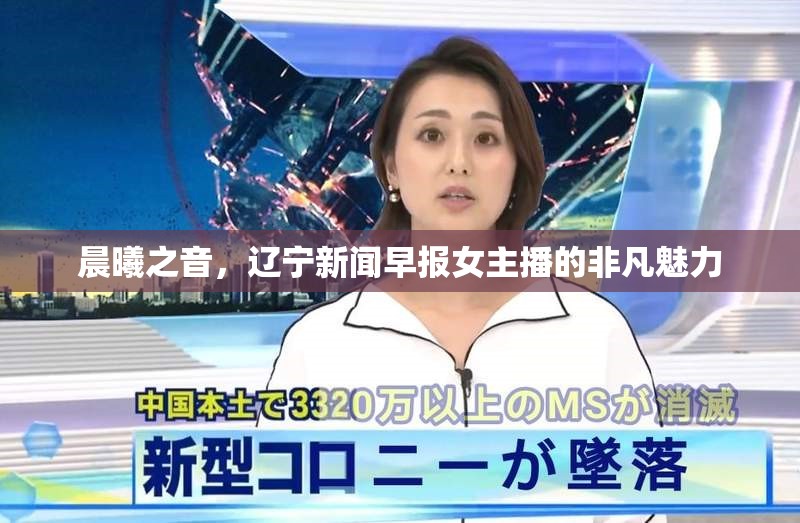 晨曦之音，遼寧新聞早報(bào)女主播的非凡魅力
