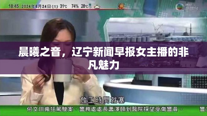 晨曦之音，遼寧新聞早報(bào)女主播的非凡魅力