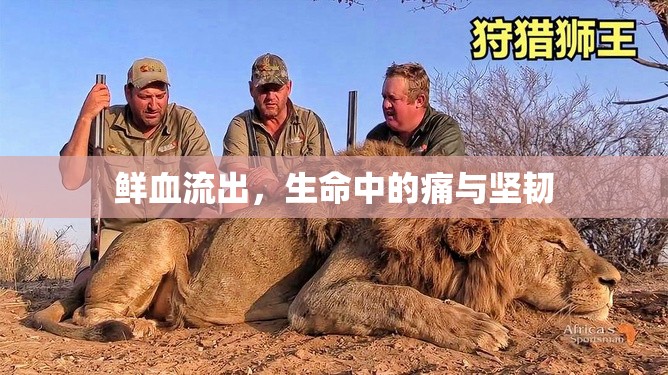 鮮血流出，生命中的痛與堅(jiān)韌