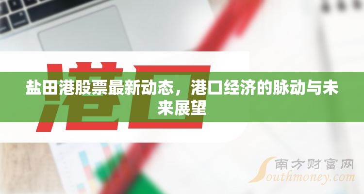 鹽田港股票最新動態(tài)，港口經(jīng)濟的脈動與未來展望